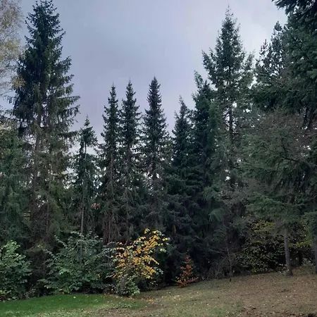 Pine Tree Holiday home