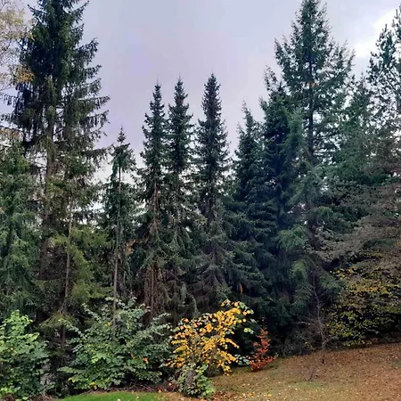Pine Tree Holiday home