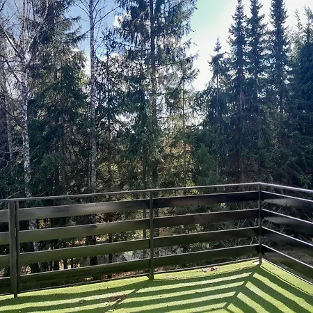 Pine Tree * Zlatibor